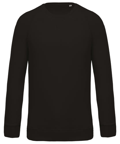 Men's organic cotton crew neck raglan sleeve sweatshirt