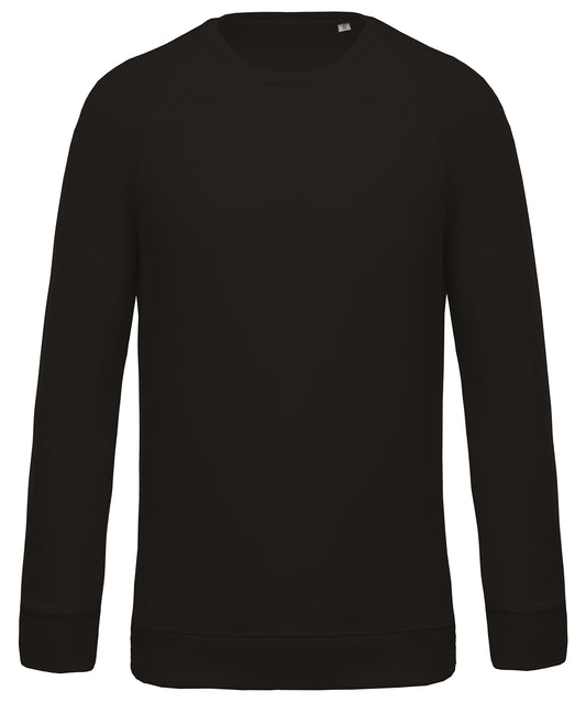Men's organic cotton crew neck raglan sleeve sweatshirt